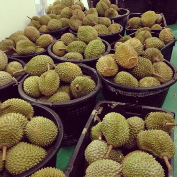 Love #MusangKing #Durian? Come buy direct from wholesale @ Ara Damansara. PM via Facebook.com/hernancorp