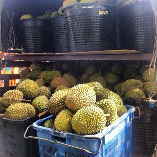 Uncountable durians waiting  for you! PM me to place order and self collect @ Ara Damansara! Save $$$ and buy direct.